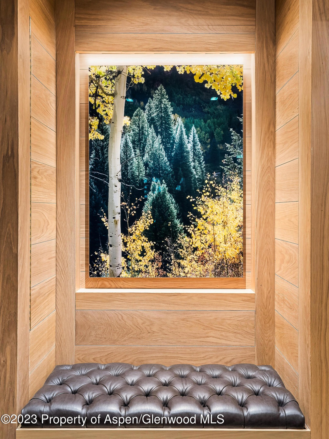 19_K204_V3_HiRes_23081119