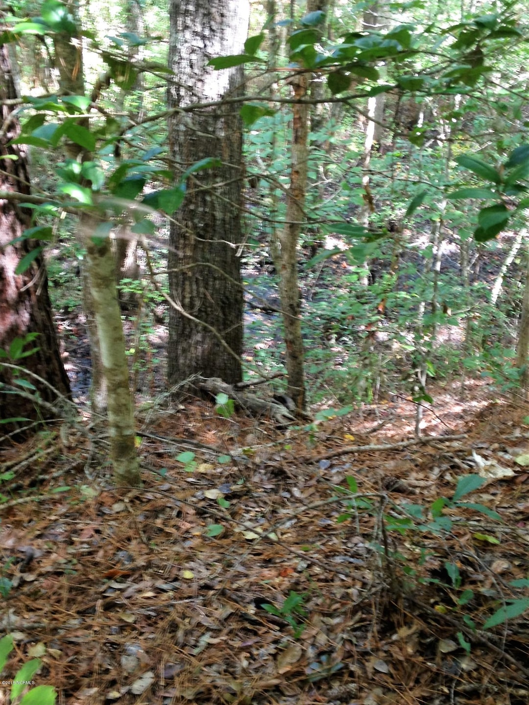 9181 Robin Ln NE, Leland, NC 28451 - photo 1