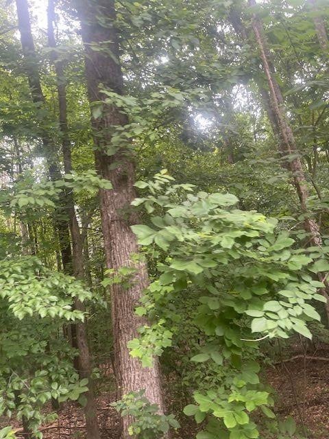 0 Butner Rd SW unit 7397698, Atlanta, GA 30331 - photo 1