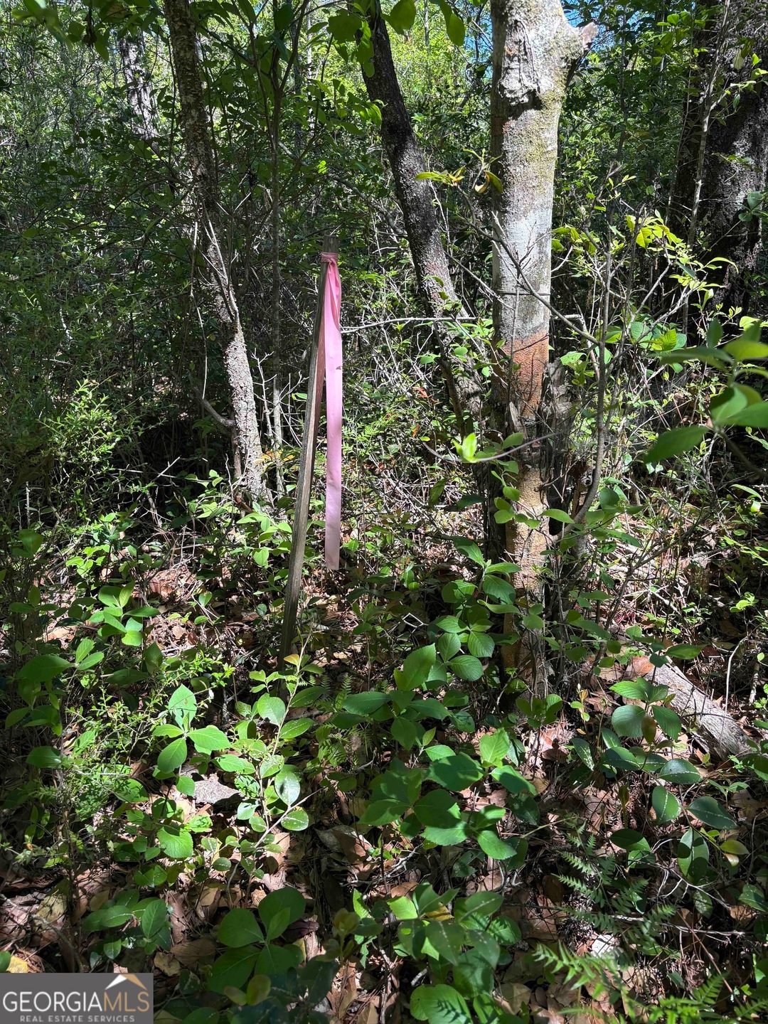 0 Rincon Stillwell Rd unit 10501940, Springfield, GA 31329 - photo 1