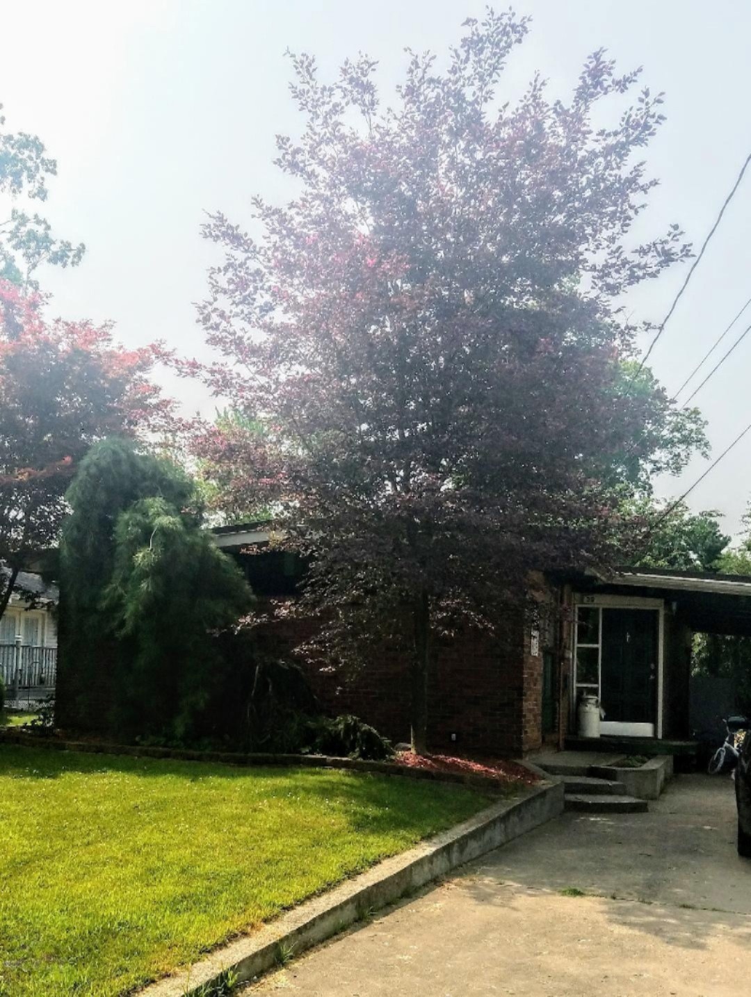 Picture 39 Maple Ln.