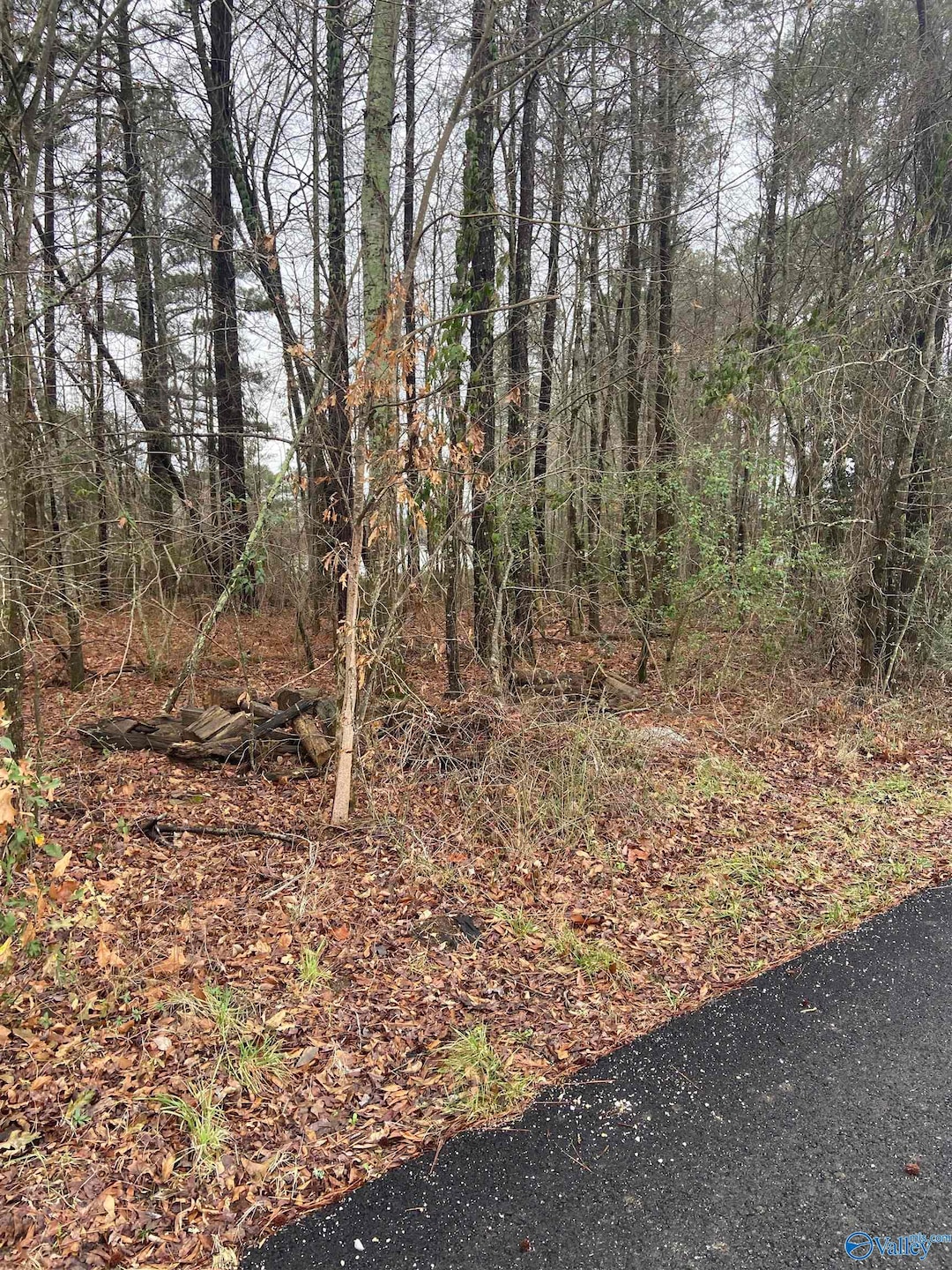 .3+/- Acres Bridge Point Rd, Southside, AL 35907 - photo 1