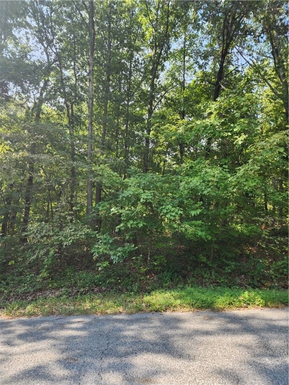 L22 B3 Leona Dr, Bella Vista, AR 72715 - photo 1