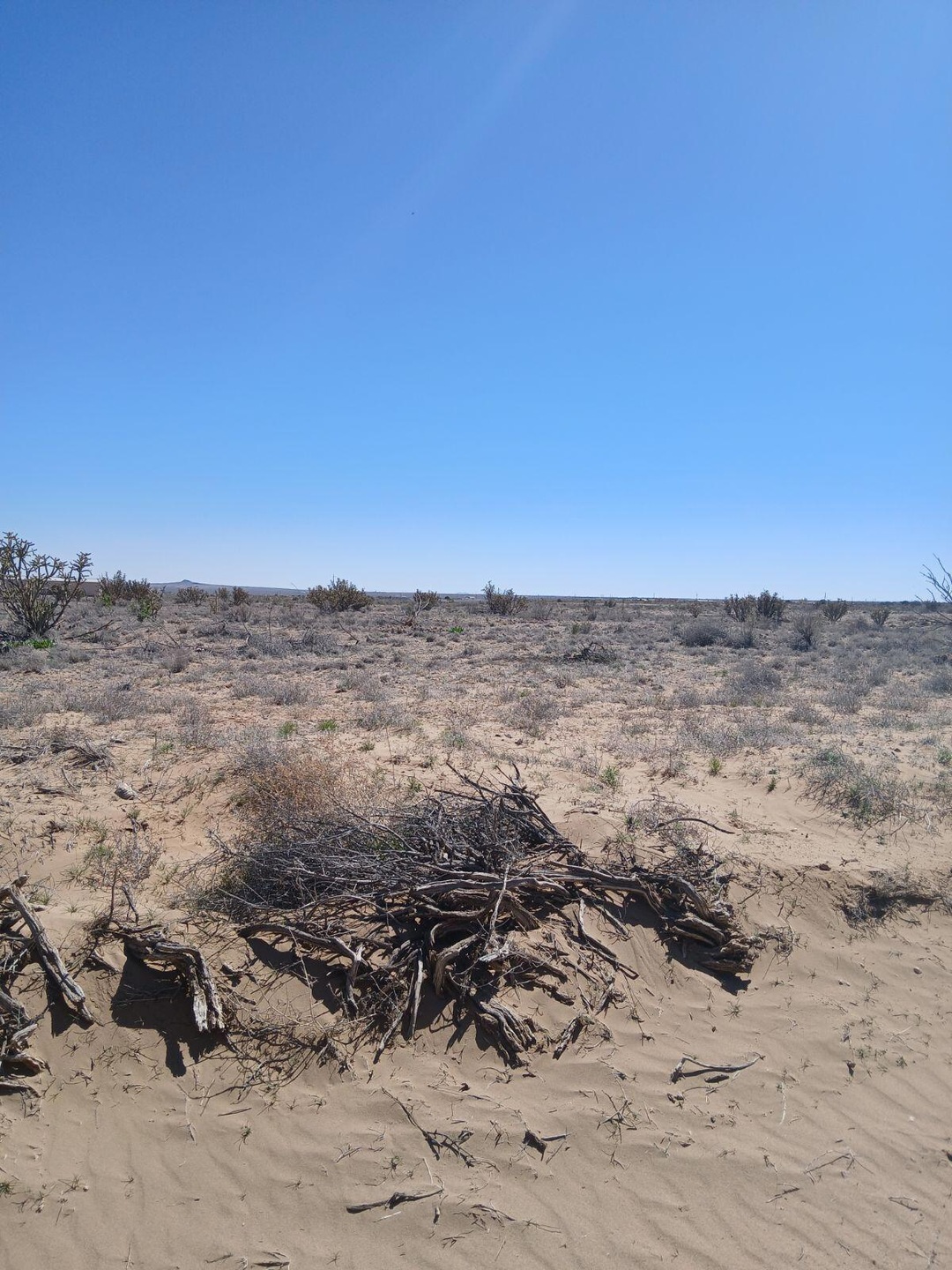 0 9th Ave NW unit 8 1061100, Rio Rancho, NM 87144 - photo 1