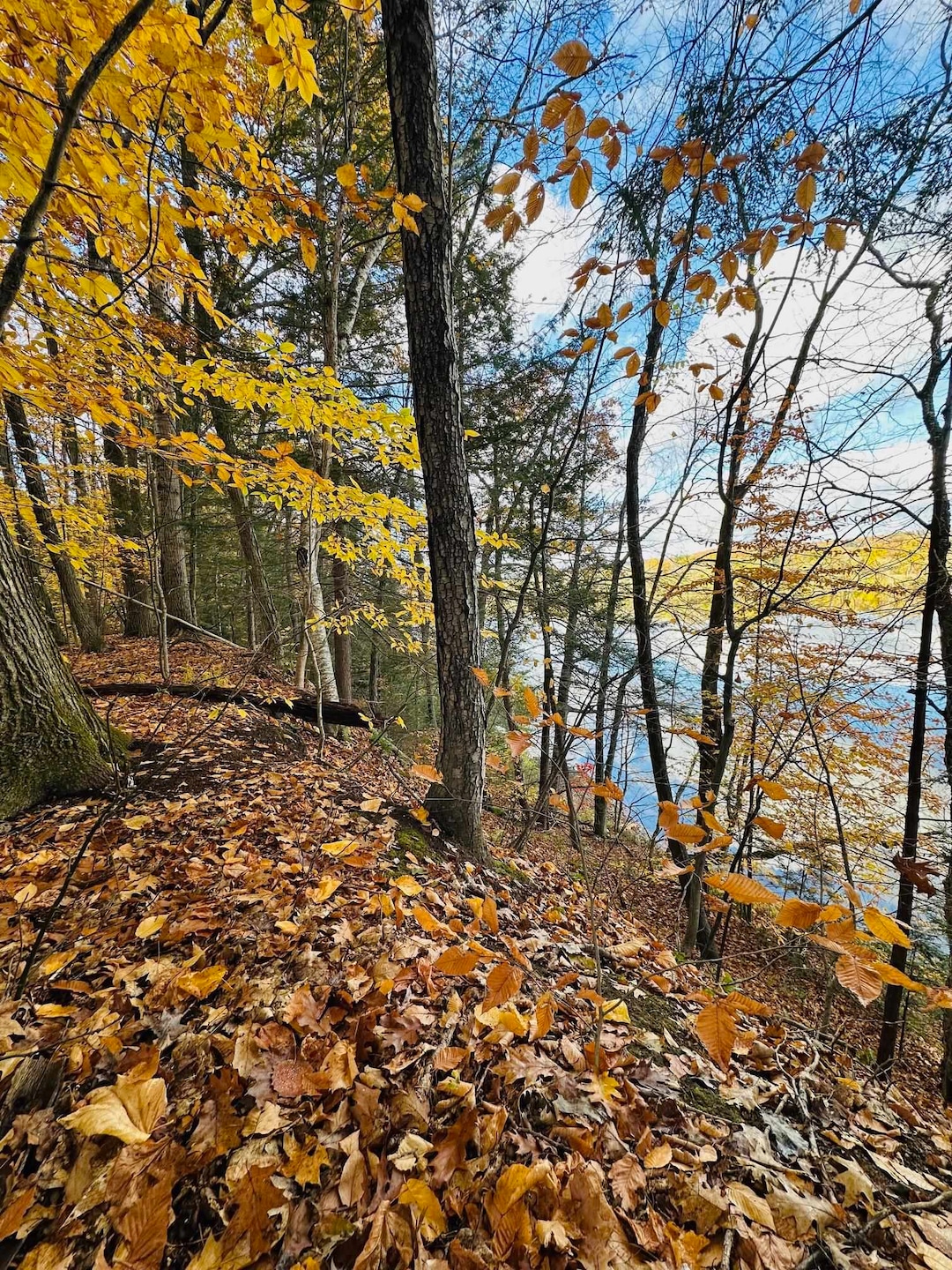 476 Missing Link Rd, Springfield, VT 05156 - photo 1