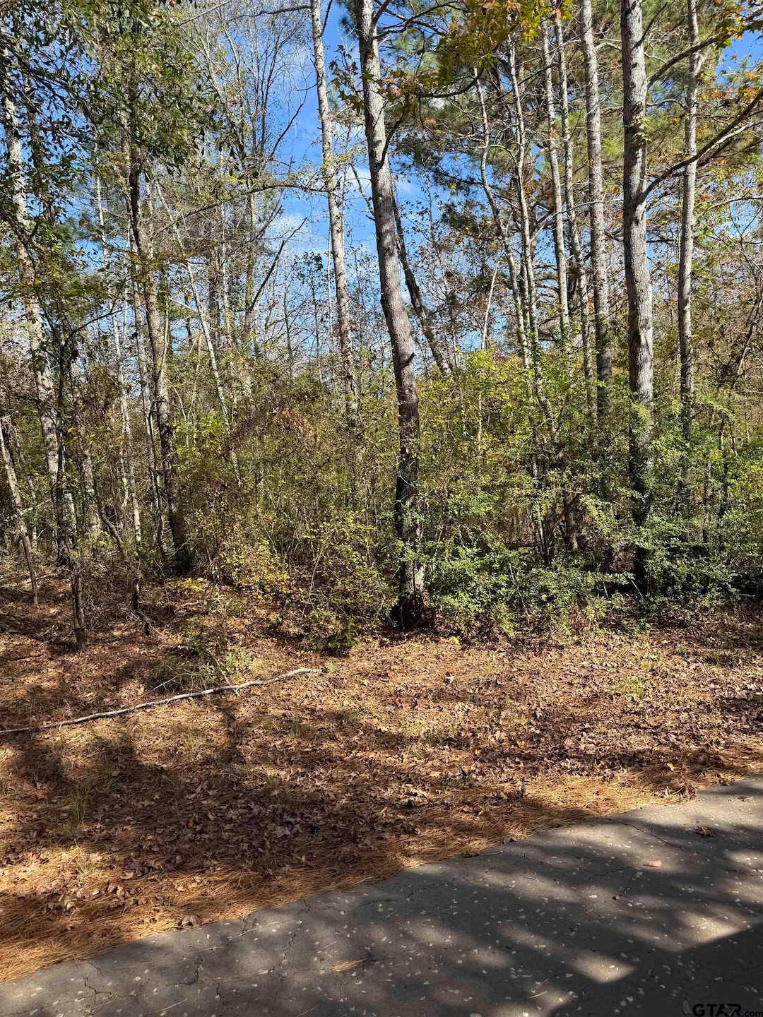 TBA Acr 1204, Elkhart, TX 75839 - photo 1