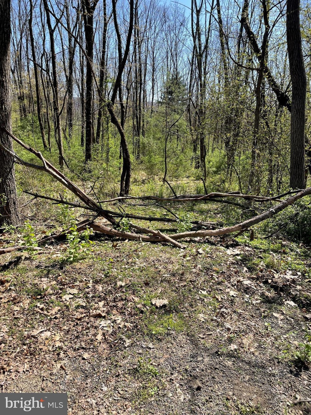 0 Bear Creek Rd unit PASK2005134, Schuylkill Haven, PA 17972 - photo 1