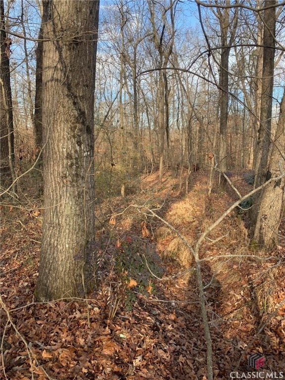 0 S Tanglewood Dr unit 1027287, Royston, GA 30662 - photo 1