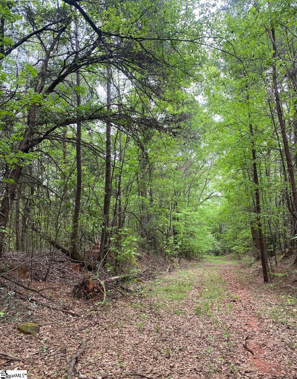 00 Wingo Rd, Wellford, SC 29385 - photo 1