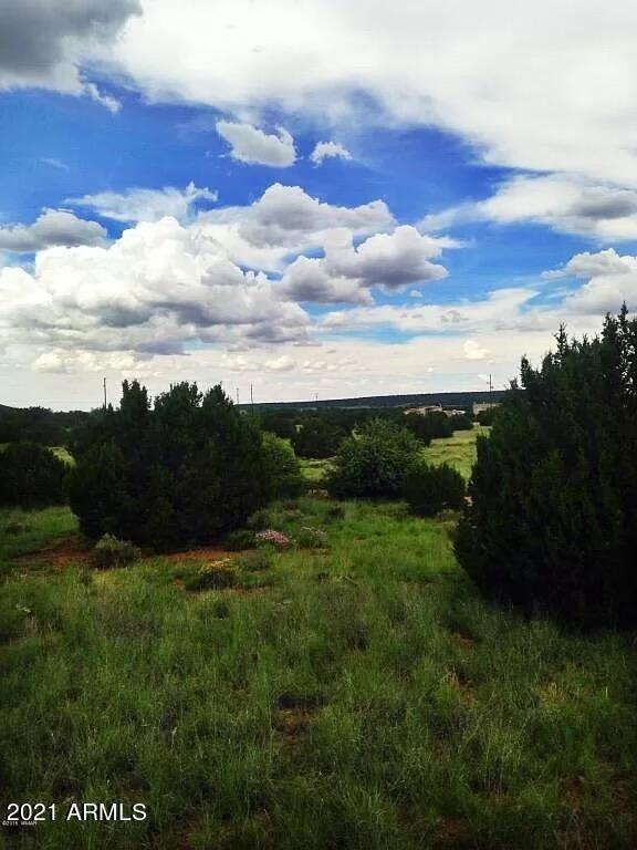 Sold $23,000 • Co-Listing Agent