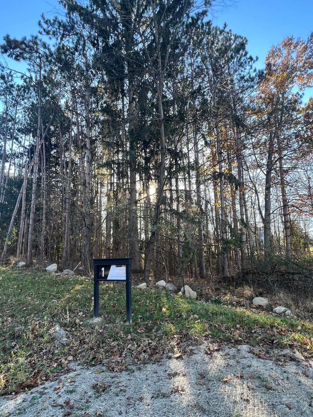 Site 1 - Morrison Hills