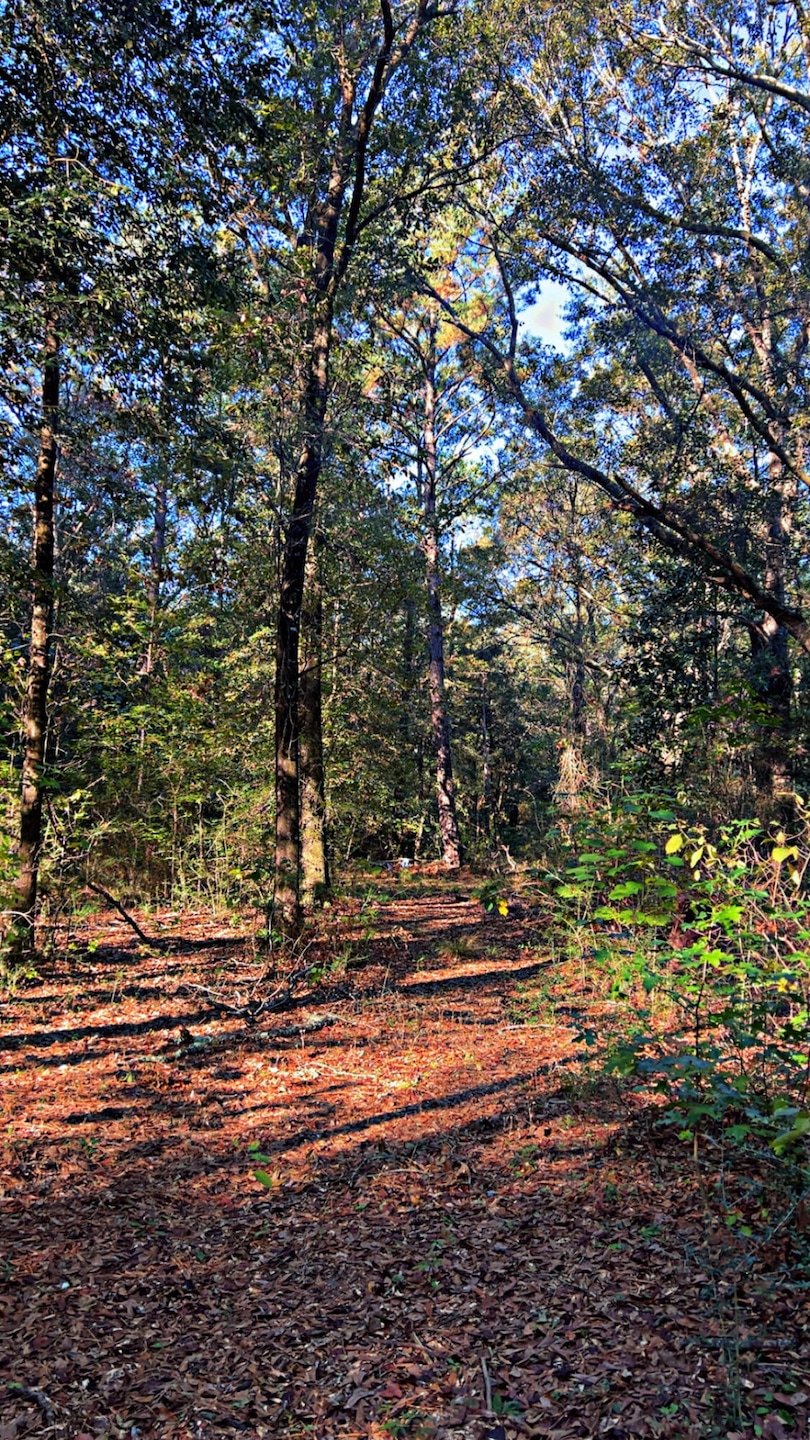 For Sale $125,000 • Co-Listing Agent