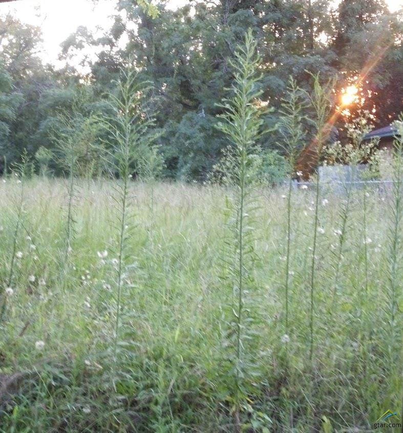 2909 Gardner Ave, Tyler, TX 75701 - photo 1