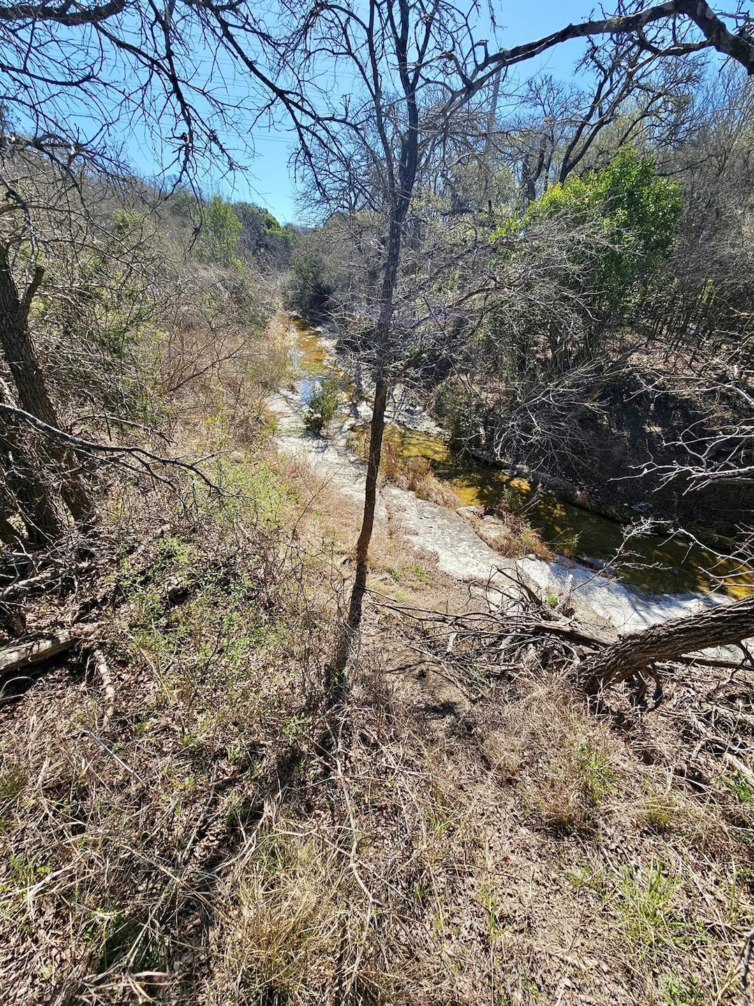 View of undeveloped land
