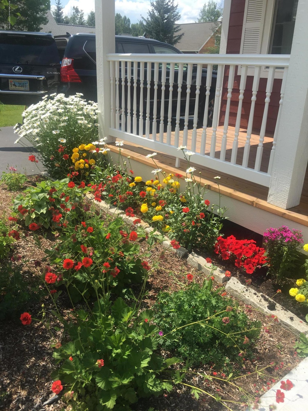 Mature Landscaping