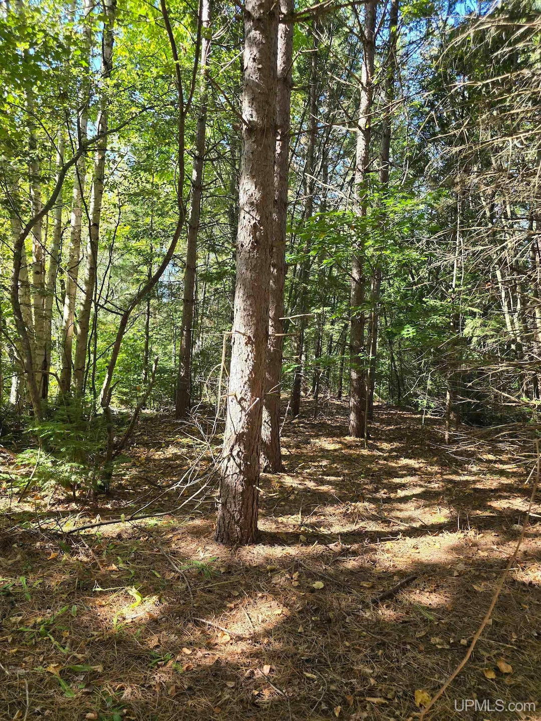 Unit 17 Liminga Rd, Atlantic Mine, MI 49905 - photo 1