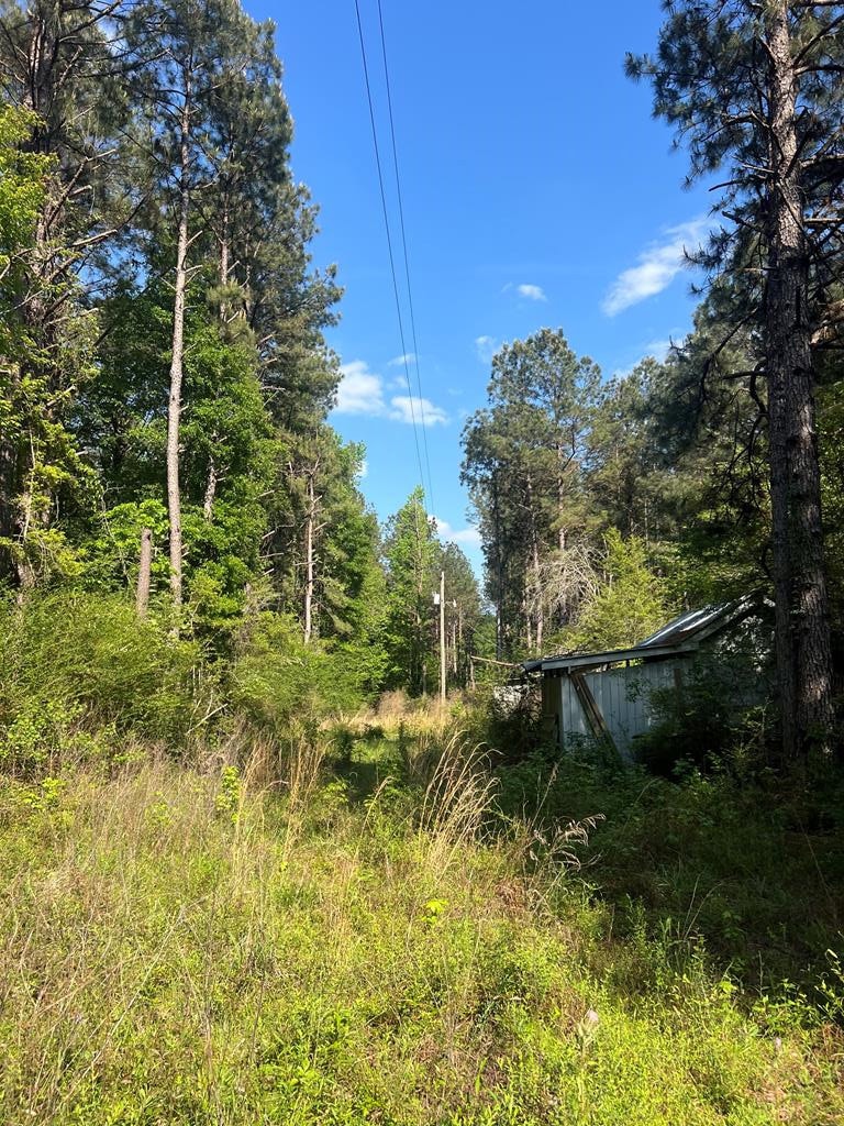 1049 Candy Ln, McComb, MS 39648 - photo 1