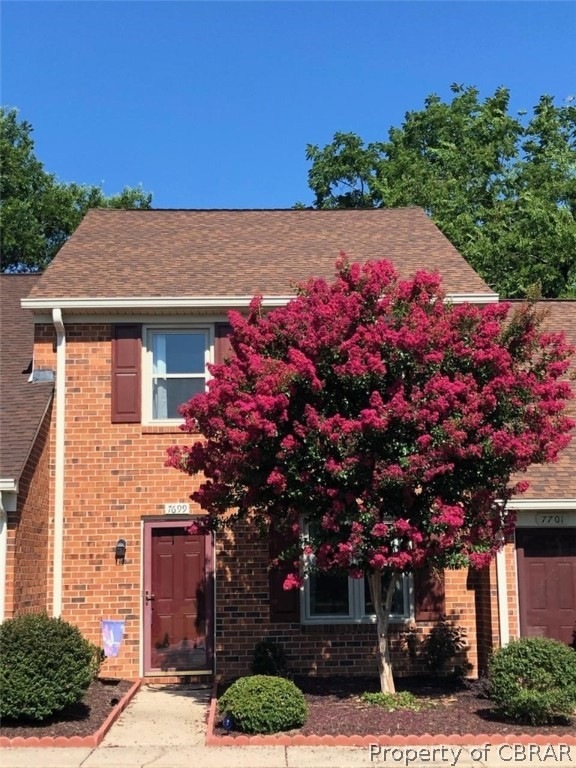 Beautiful Crepe Myrtle in front yard