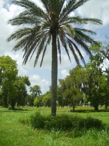 20461 County Road 461, Brazoria, TX 77422 - photo 1