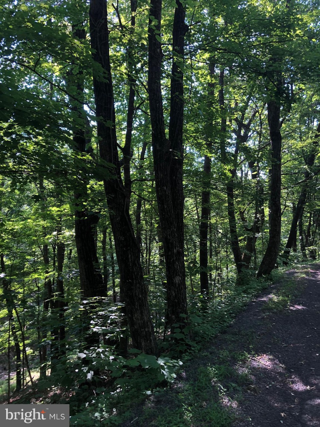 008 Dooley Dr, Basye, VA 22810 - photo 1