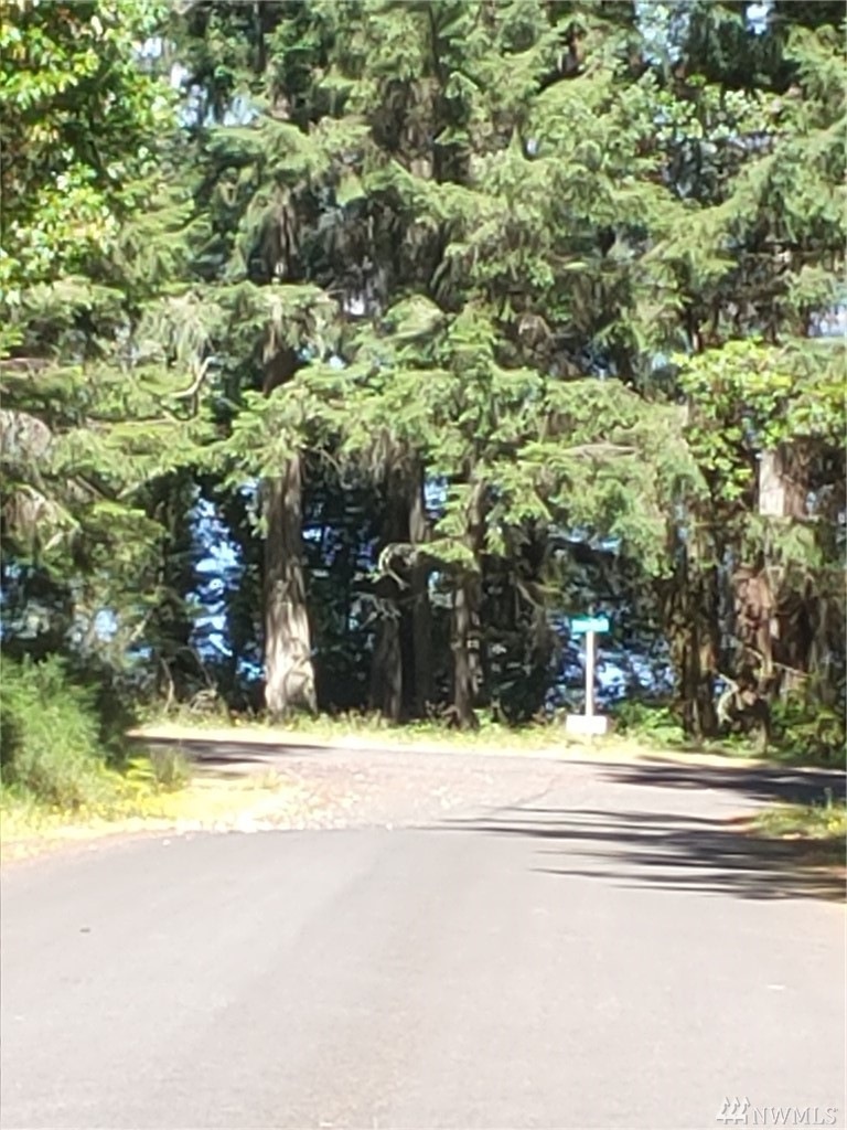 10416 Matthews Way, Anderson Island, WA 98303 - photo 1