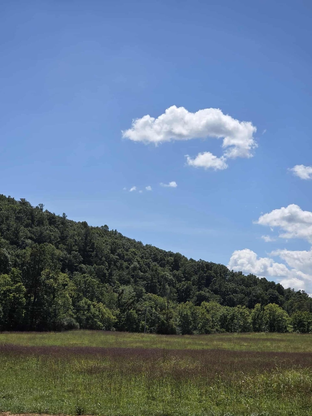 Lot 20 Haymakertown Rd, Troutville, VA 24175 - photo 1