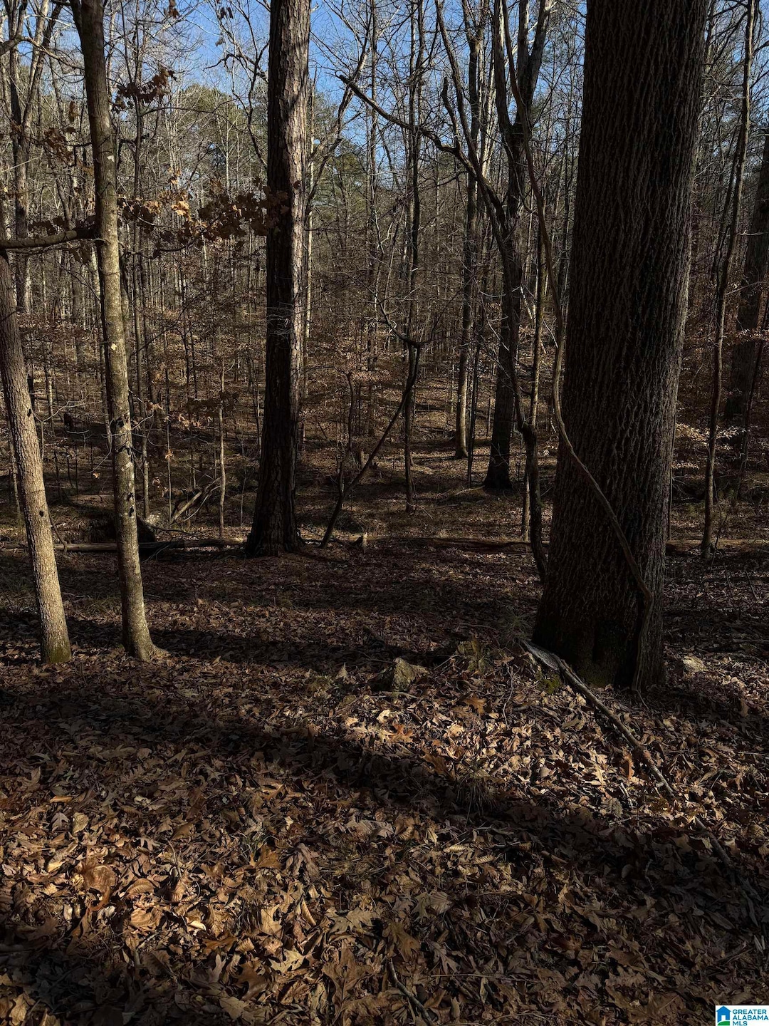 3 Oakmont Dr, Alabaster, AL 35007 - photo 1