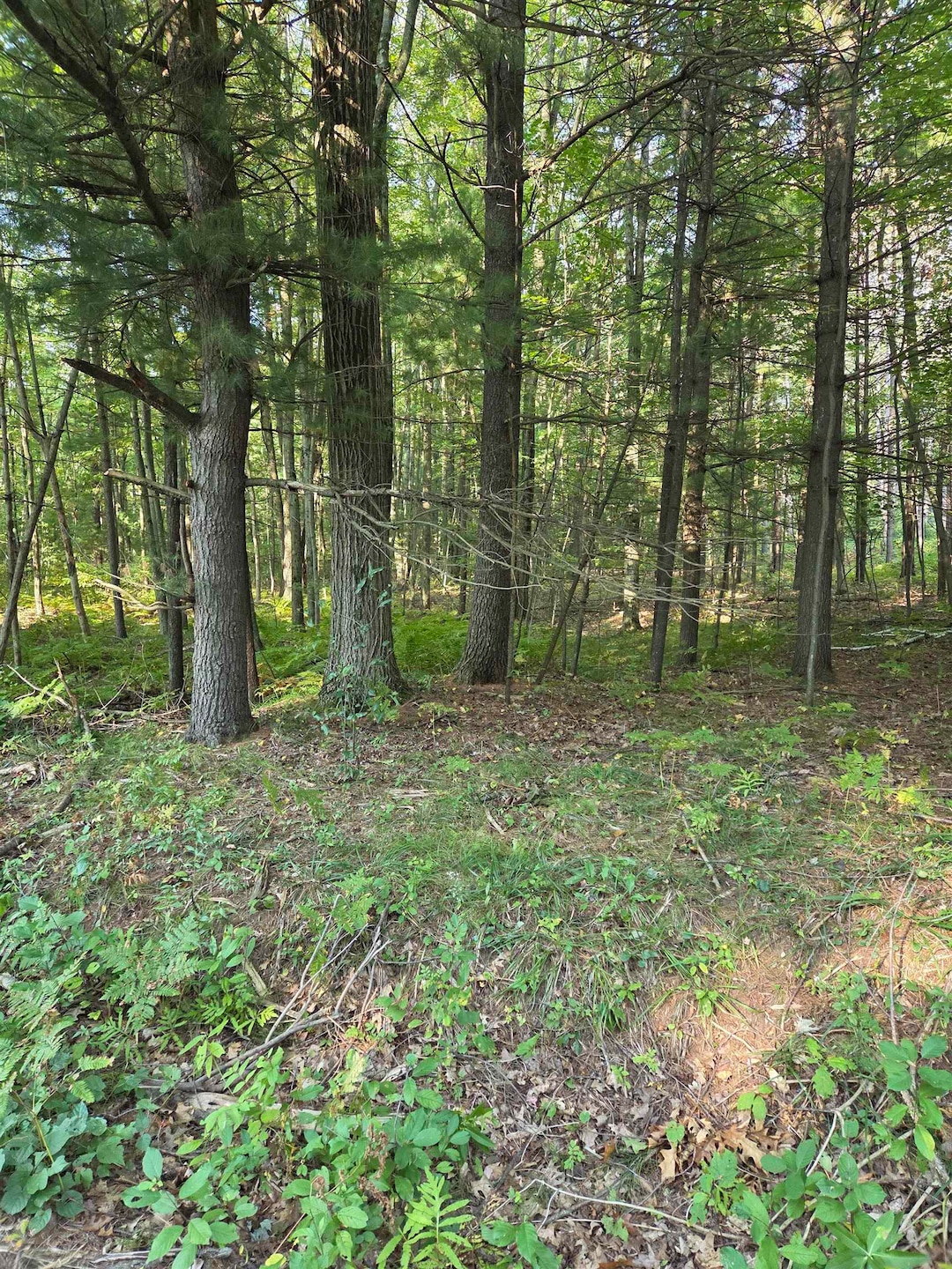 0 Hale Rd unit 50315282, Peshtigo, WI 54157 - photo 1