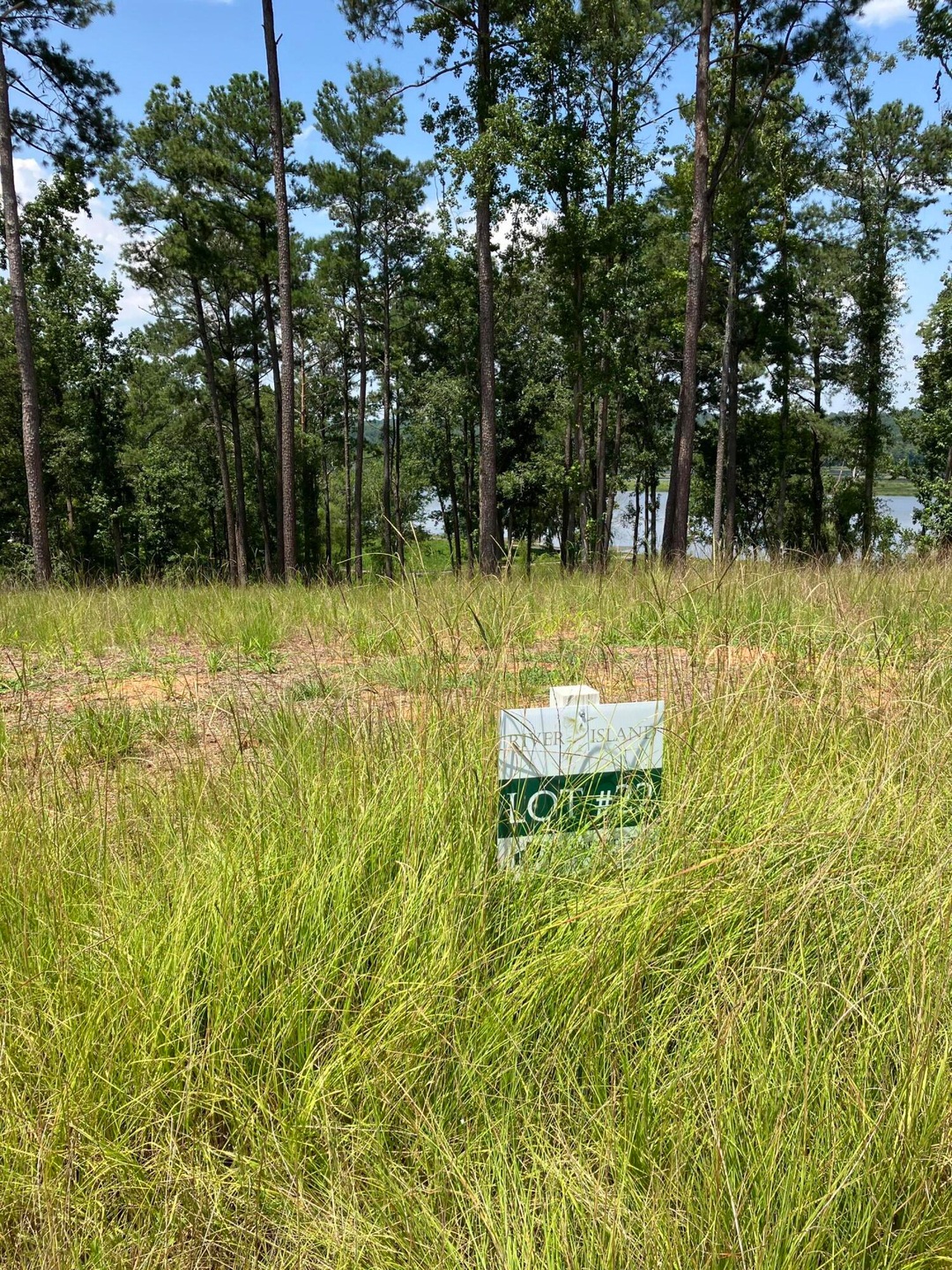 Lot 22