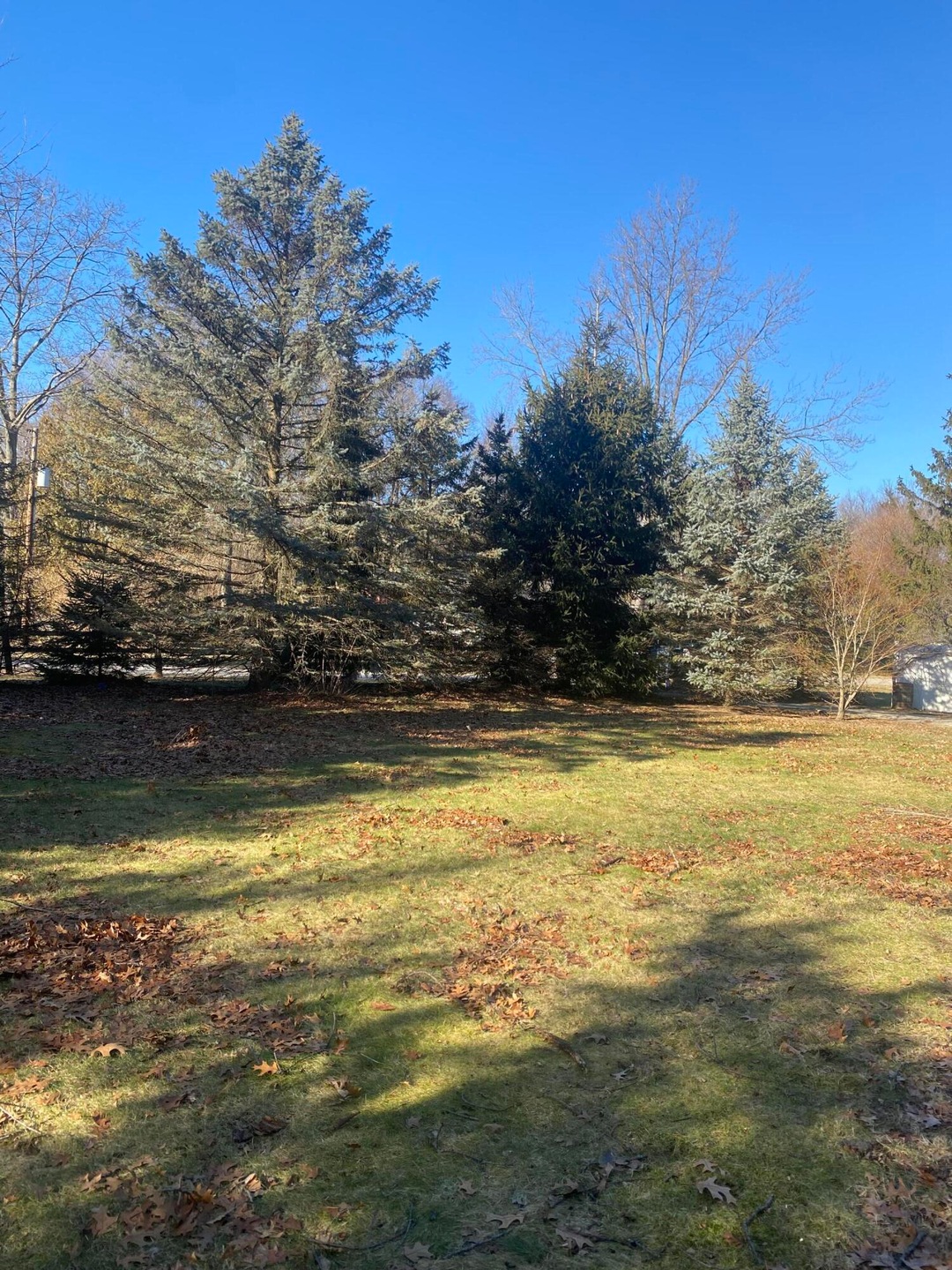 Lot View 5