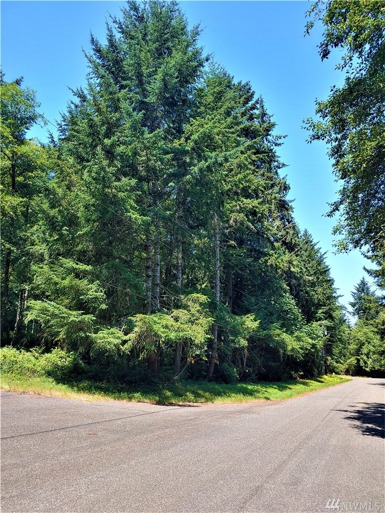 8920 Davenport Rd unit AI, Anderson Island, WA 98303 - photo 1