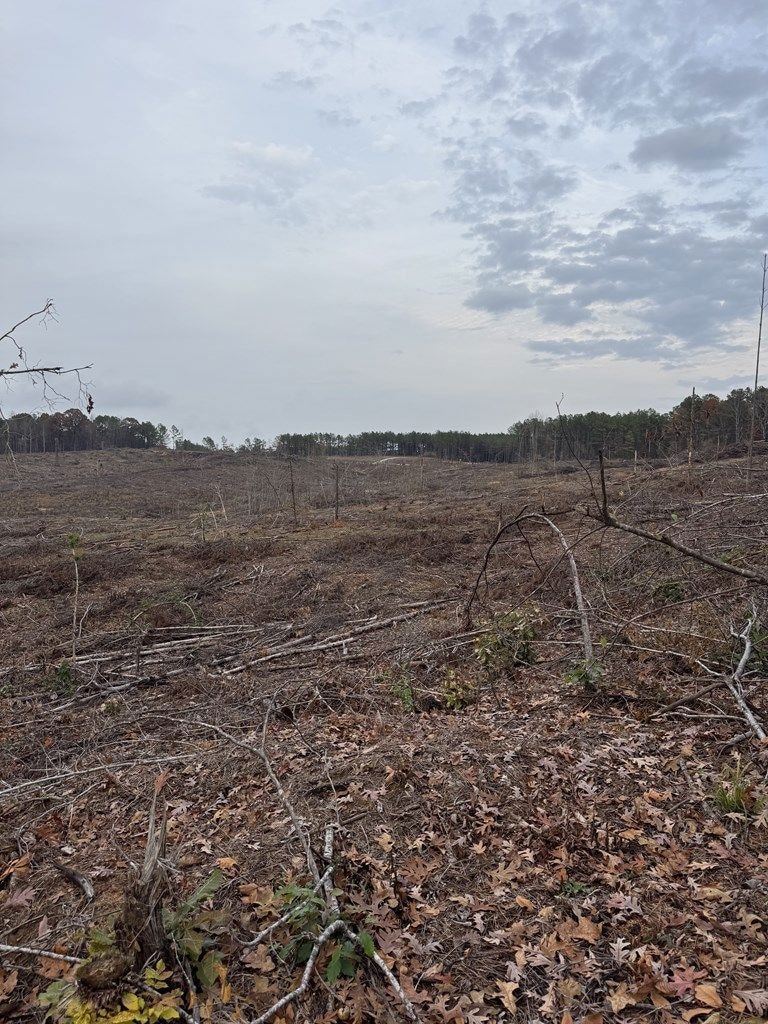 606 County Road 442, Oxford, MS 38655 - photo 1