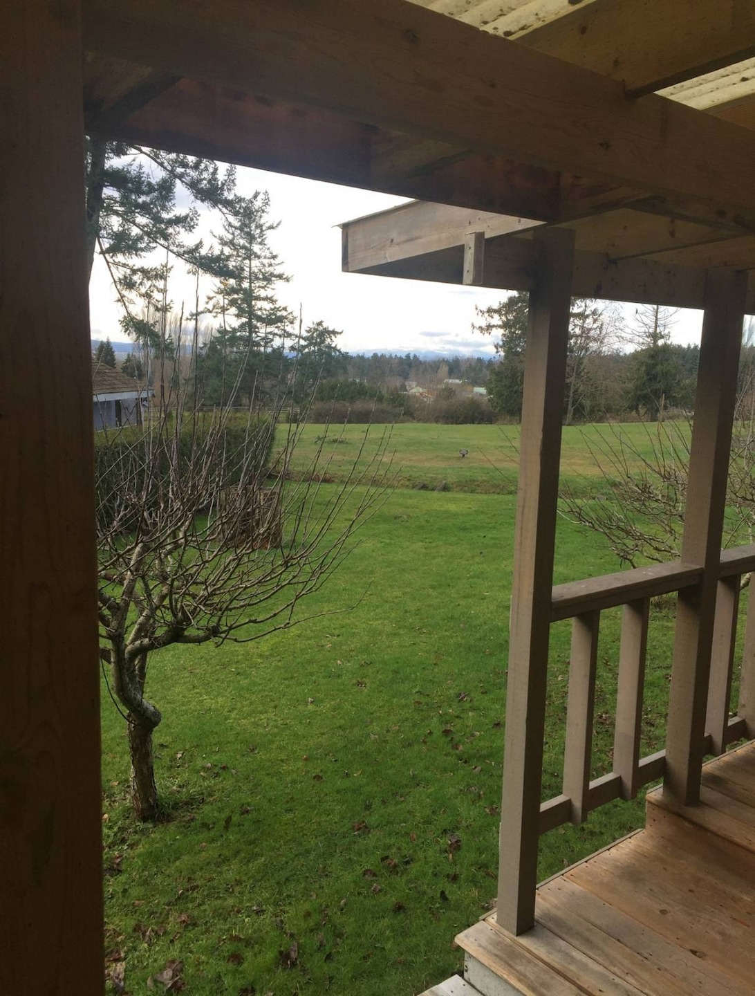 1774 Centennial Place, Point Roberts, WA 98281 - photo 1