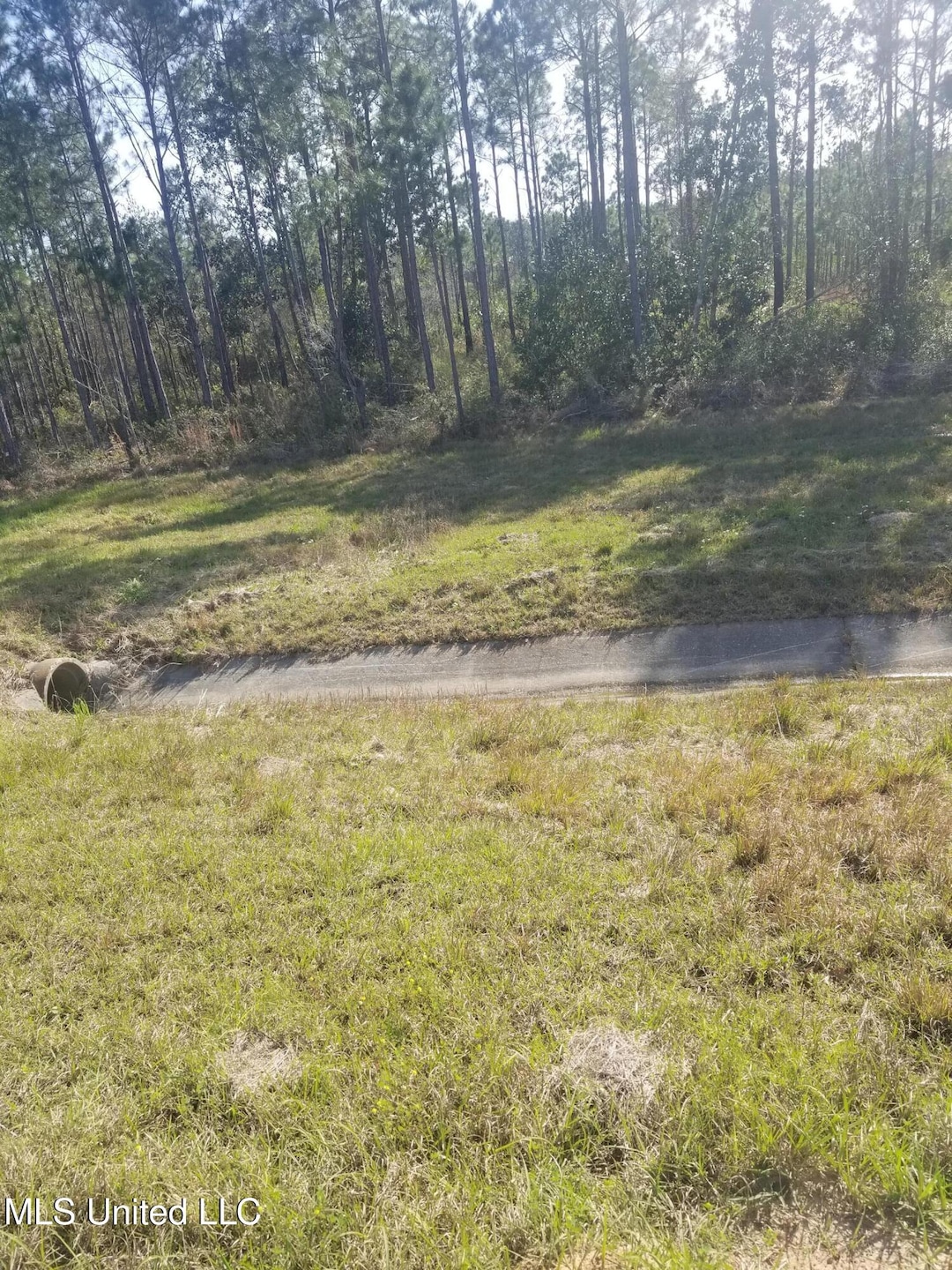 BARNUM 5.8 AC HWY 67 VIEW