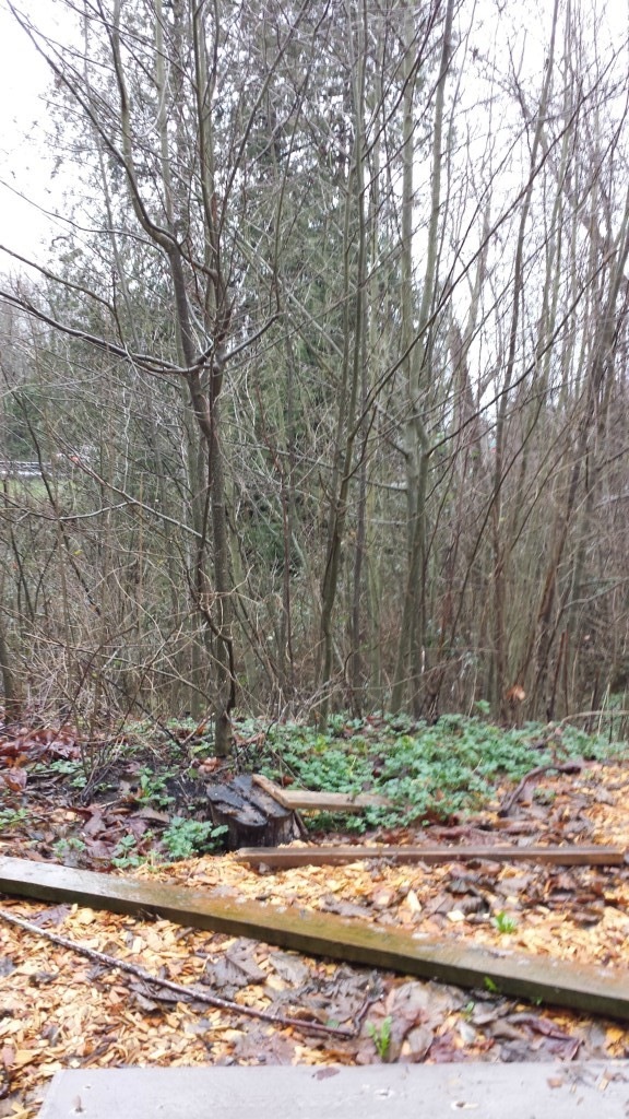 1228 Mukilteo Speedway, Mukilteo, WA 98275 - photo 1