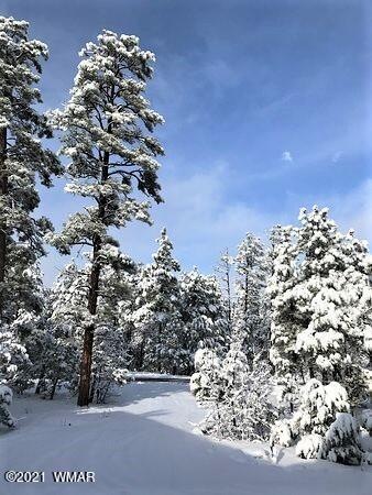 Snowy view