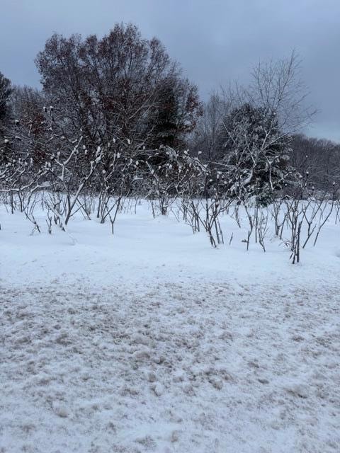 0 Mason Dr unit 25061407, Newaygo, MI 49337 - photo 1