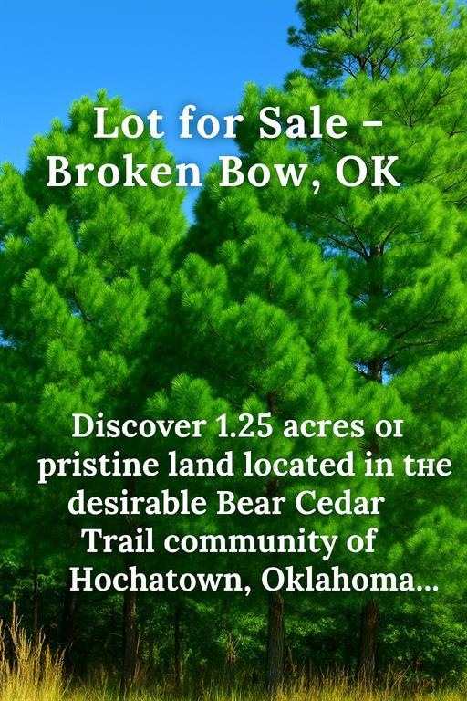 205 Bear Cedar Trail, Broken Bow, OK 74728 - photo 1