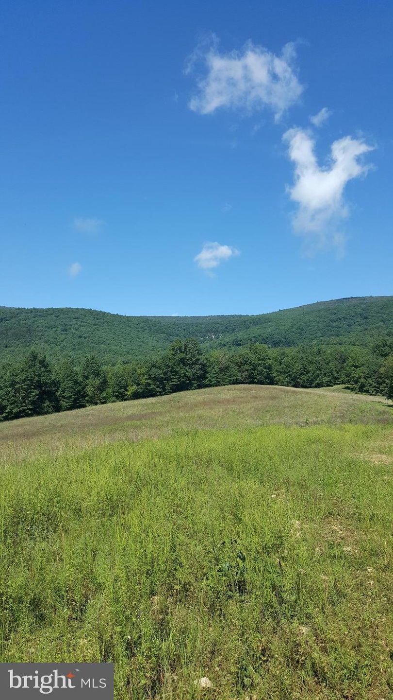 0 Dellinger Gap Rd unit 1002764866, Edinburg, VA 22824 - photo 1