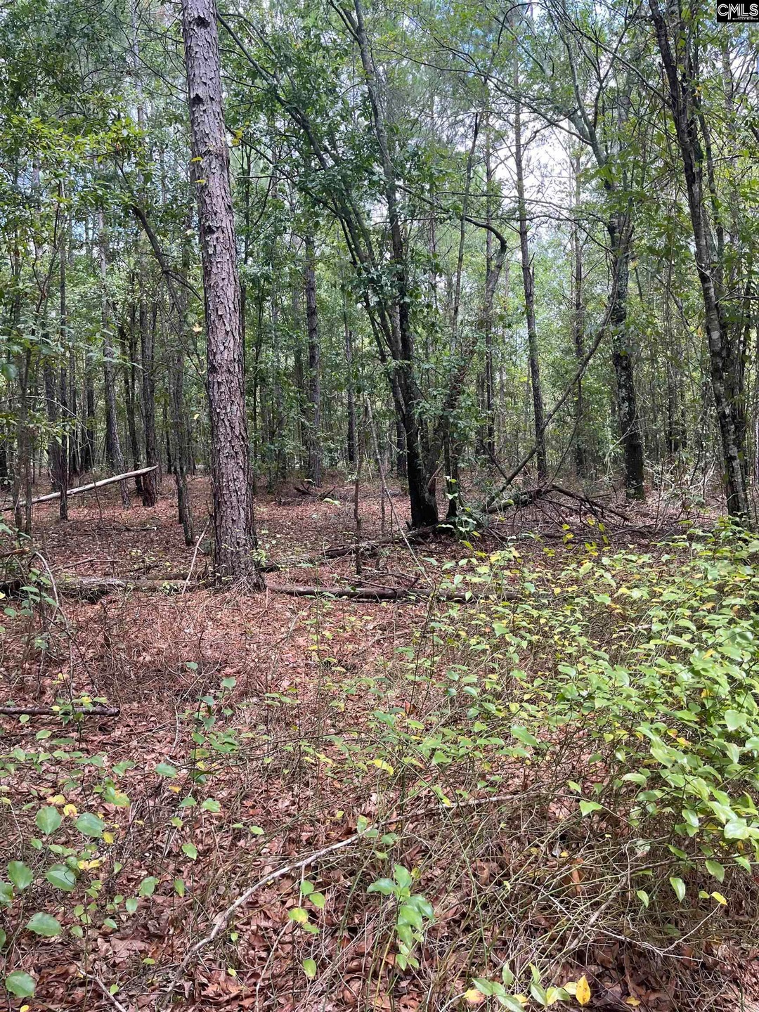 BHL 6 Boise Cascade Rd unit BHL 6, Bethune, SC 29009 - photo 1