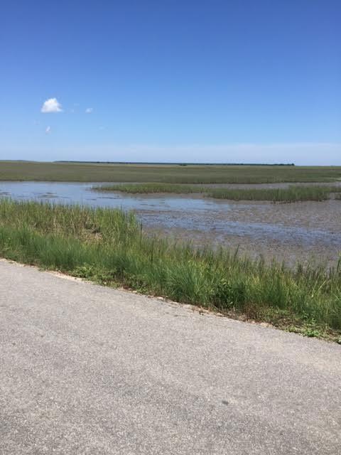 Seafood Road Neighborhood 1