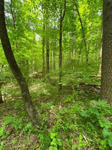 0 Wahoo Creek Rd unit 6887705, Murrayville, GA 30564 - photo 1