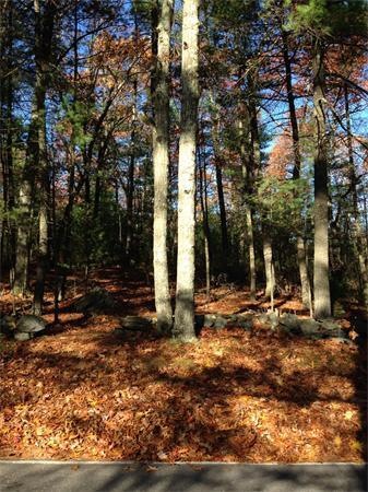 444 Sugar Rd, Bolton, MA 01740 - photo 1