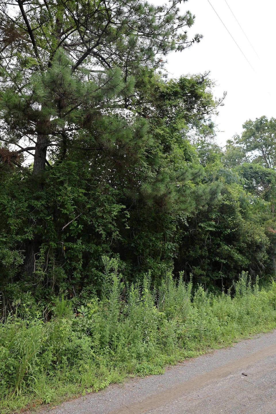 45 Partridge Rd, Kingstree, SC 29556 - photo 1