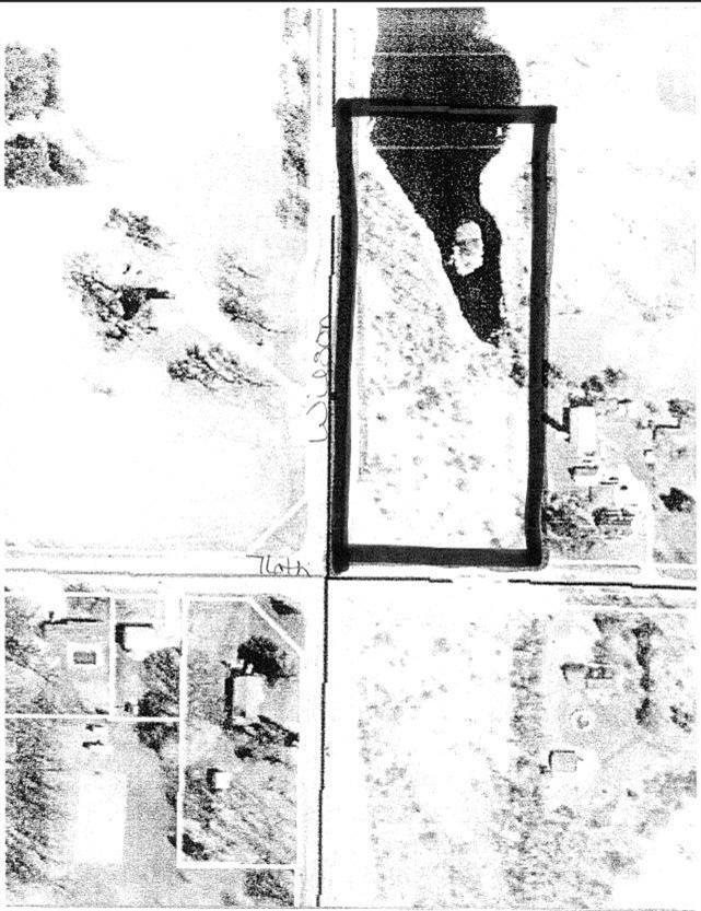 Primary Photo