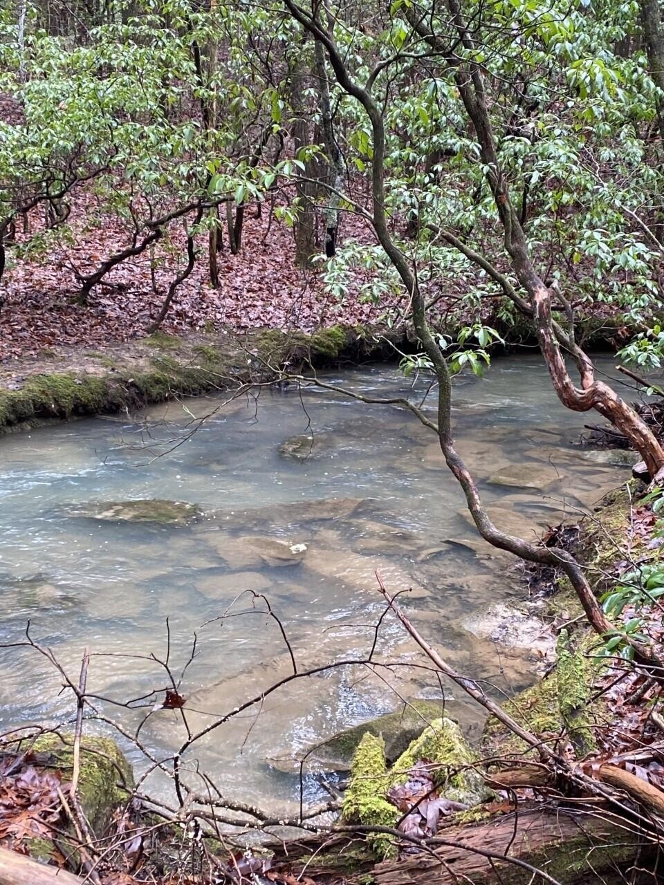 12 Thomas Springs Rd, Crossville, TN 38572 - photo 1