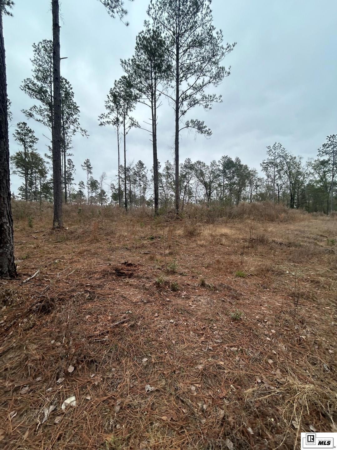 0 Cadeville Cutoff Rd, West Monroe, LA 71292 - photo 1