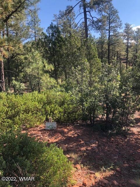 Sold $80,000 • Co-Listing Agent