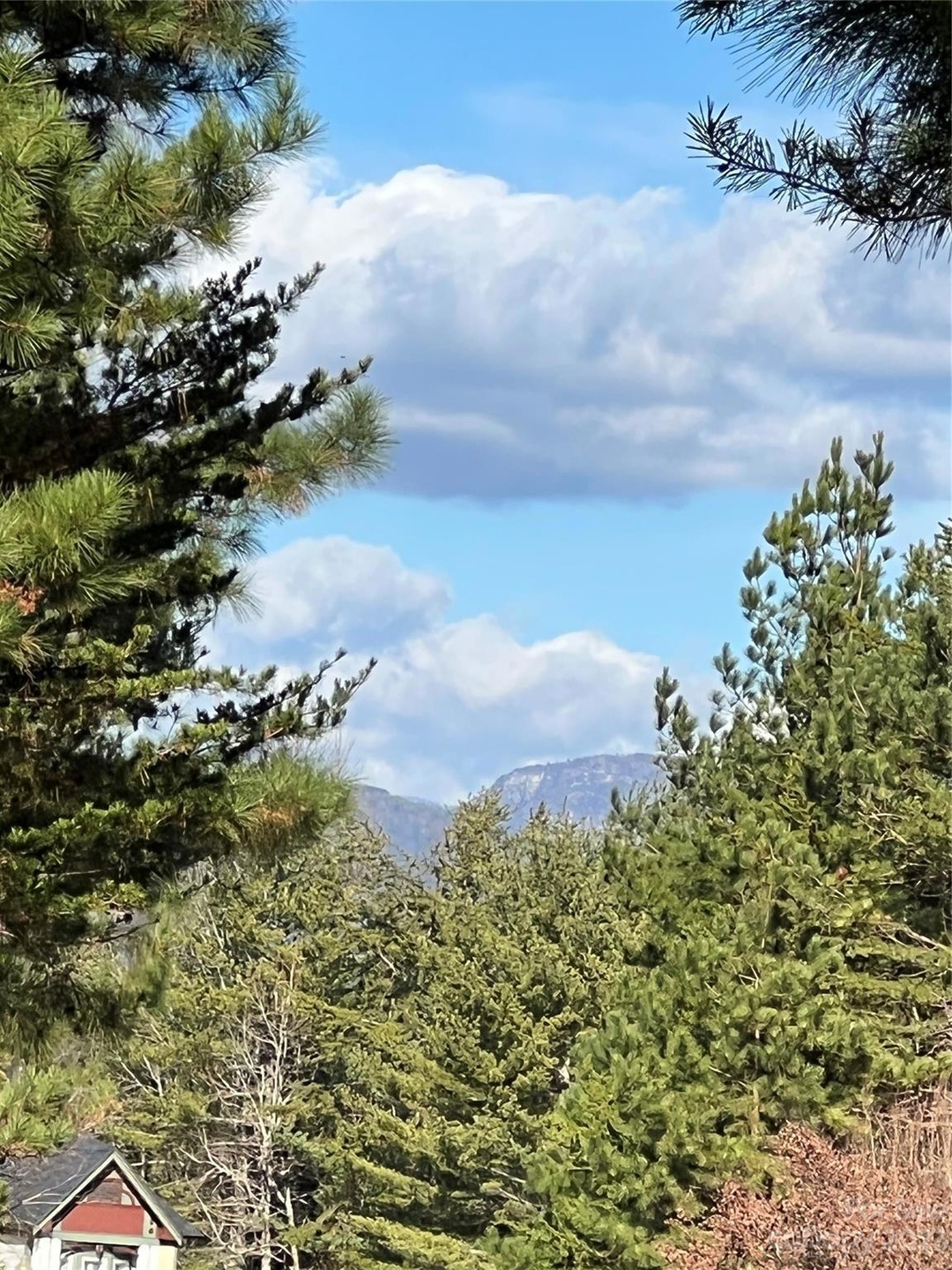 1649 Southpointe Dr Unit 222, NC 28655 MLS CAR4075971