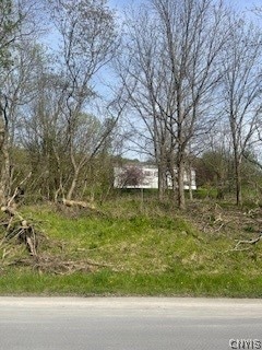 000 Chestnut Place, New Hartford, NY 13413 - photo 1